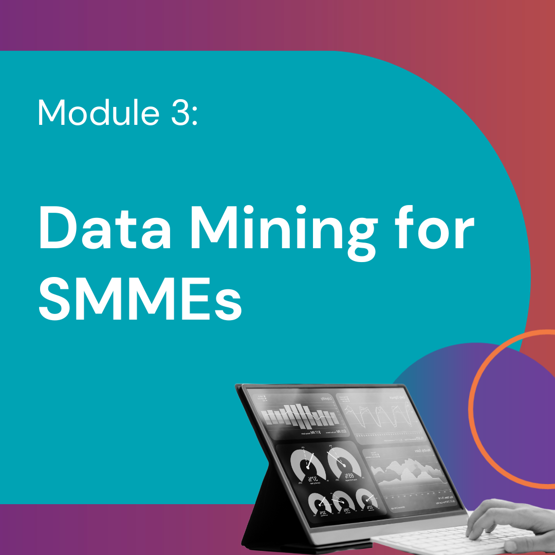 Data Mining for SMMEs