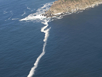 Cape Point